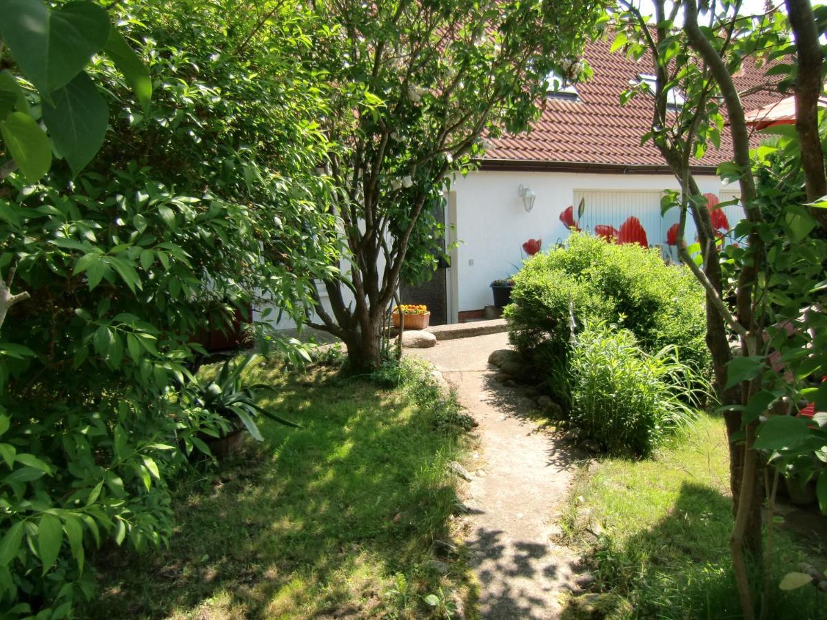 Inselromantik Rügen Hotel Dreschvitz Eksteriør billede